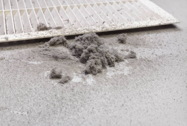 Best Air Duct Cleaning Near Me  in Hockinson, WA