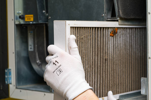 Best Affordable HVAC Duct Cleaning  in Hockinson, WA